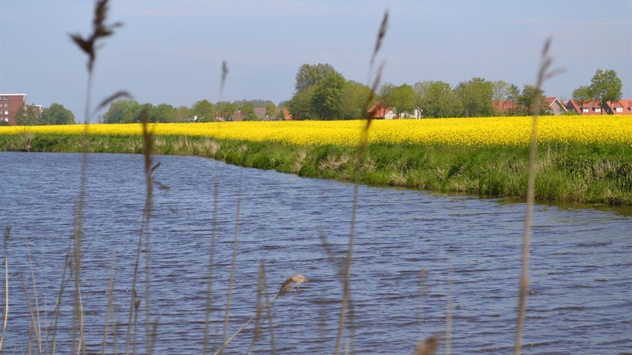 Dornumer Tief Dornumer Tief